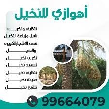 الاهوازي للنخيل 99664079