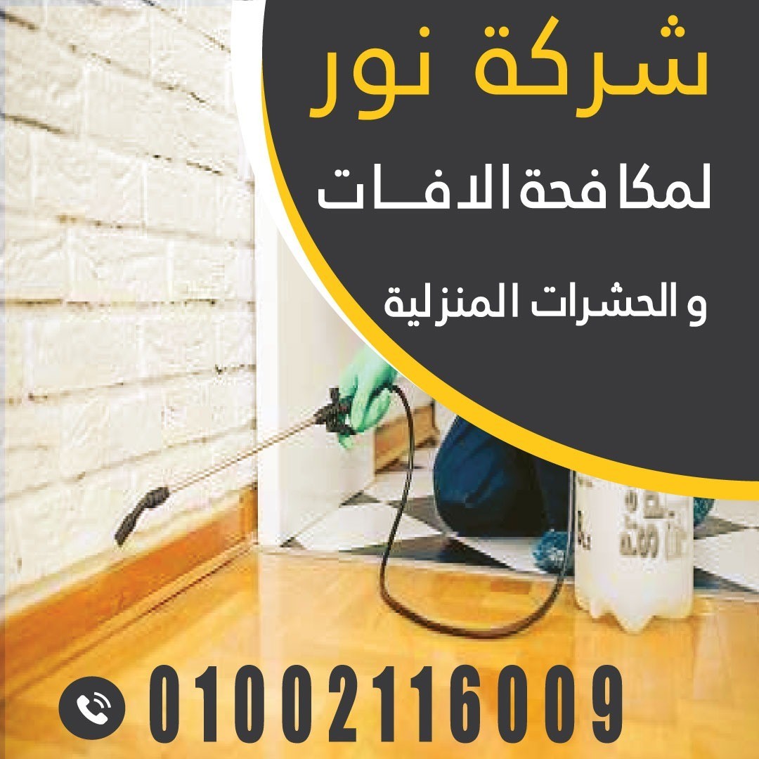 شركة نور لمكافحة الافات