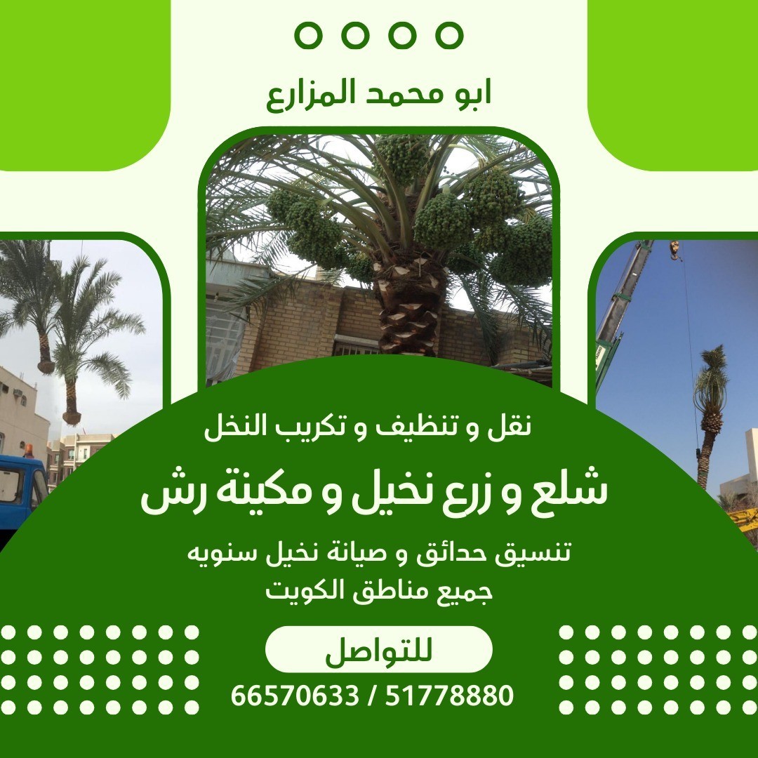 نقل وتنظيف وتكريب النخيل